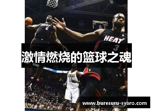 激情燃烧的篮球之魂